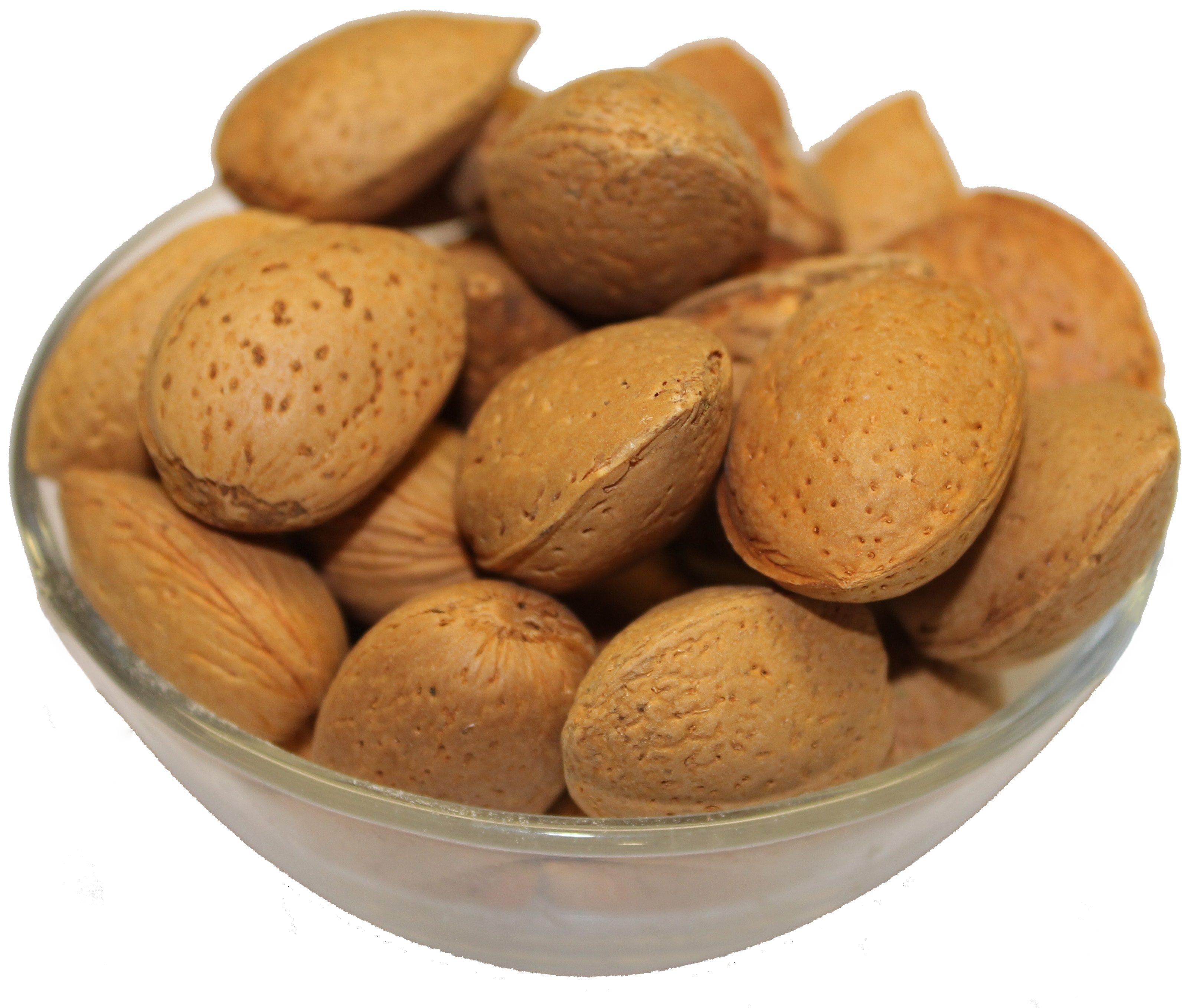 buy almonds in shell in bulk