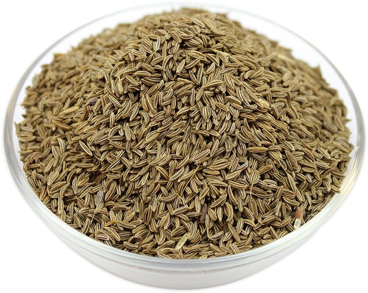 Buy Dill Seeds Online