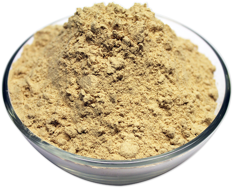 buy cacao protein shake powder in bulk