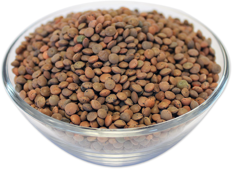 buy brown lentils in bulk