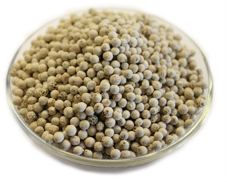 White pepper. Перец белый горошек (White Pepper whloe) 1 кг. 5612 White Pepper. White Pepper Powder in Plate.