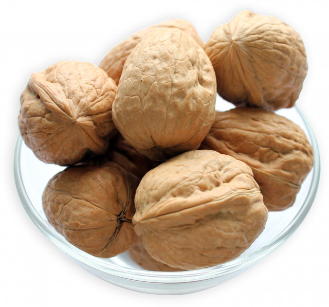 buy walnuts in shell in bulk