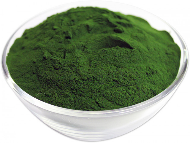 buy chlorella powder in bulk