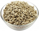 buy sunflower seeds kernels in bulk