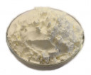 buy potato starch in bulk