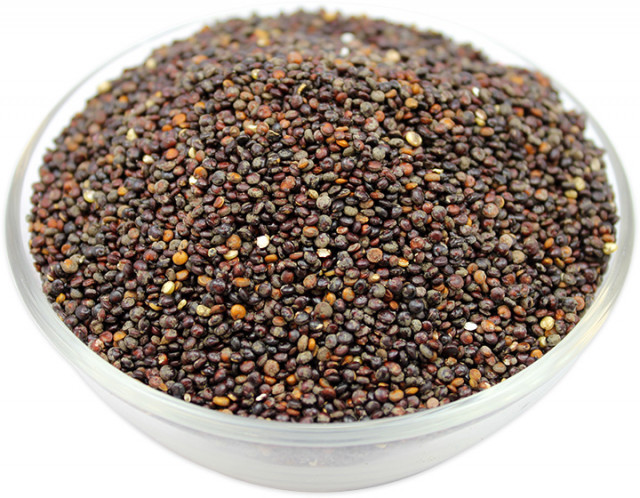 buy black mustard seeds in bulk